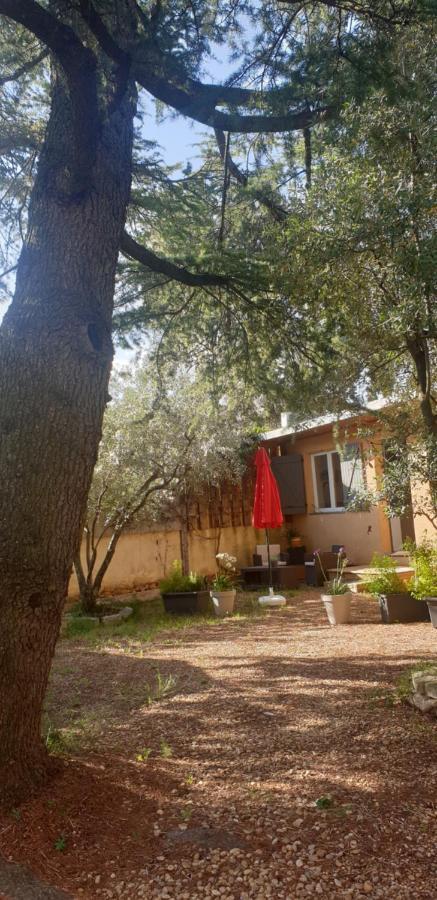La Vigne Et L'Olivier Apartment Villeneuve-les-Avignon Exterior photo